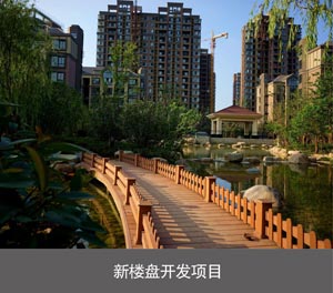 立體車庫(kù)家庭用簡(jiǎn)易二柱停車設(shè)備新樓盤開發(fā)項(xiàng)目