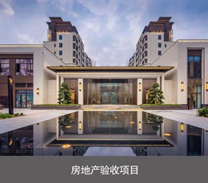 立體車庫(kù)家庭用簡(jiǎn)易二柱停車設(shè)備房地產(chǎn)驗(yàn)收項(xiàng)目